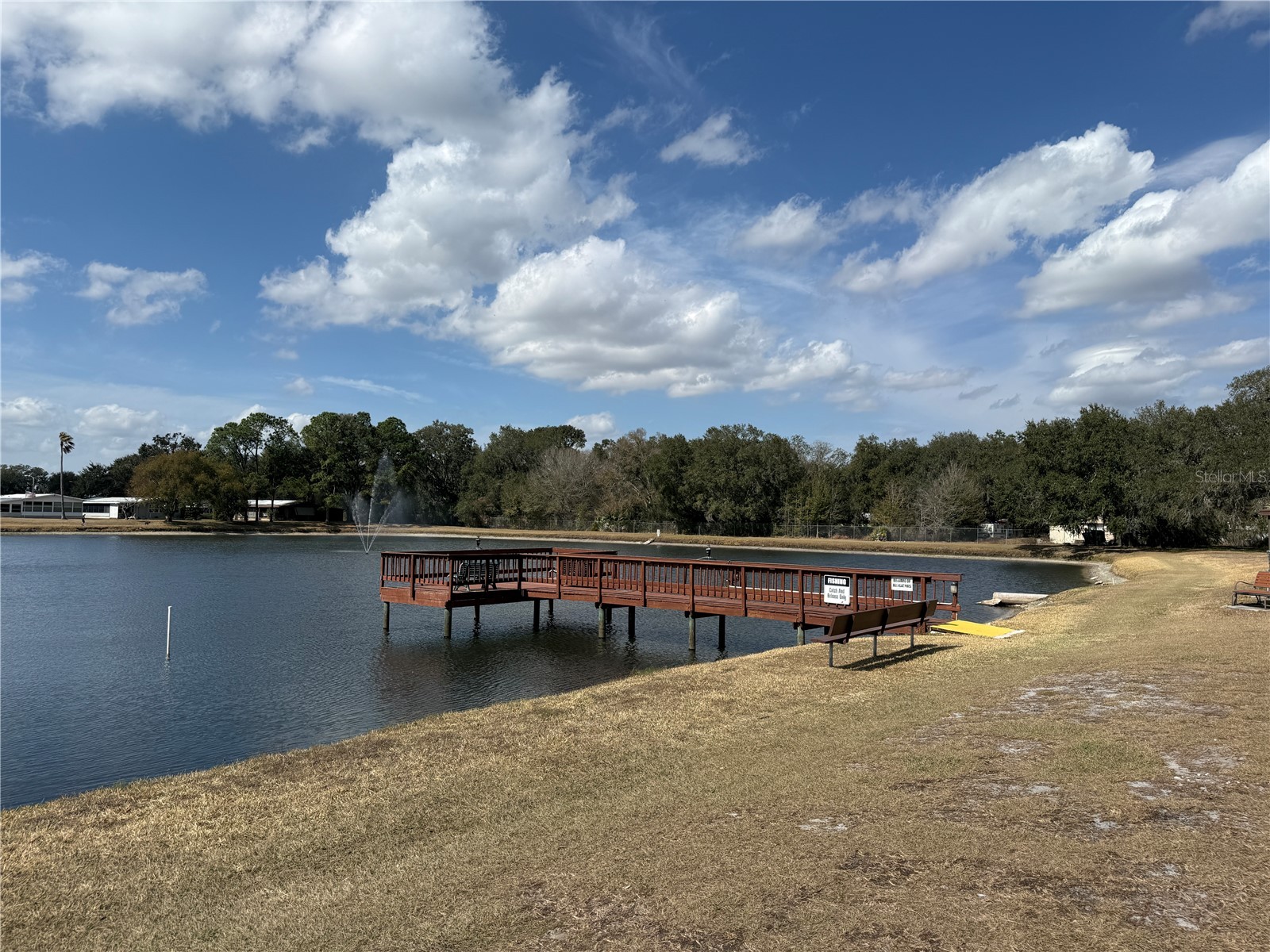 3141 Great Oak St Wesley Chapel FL 33543 TB8448670 image39