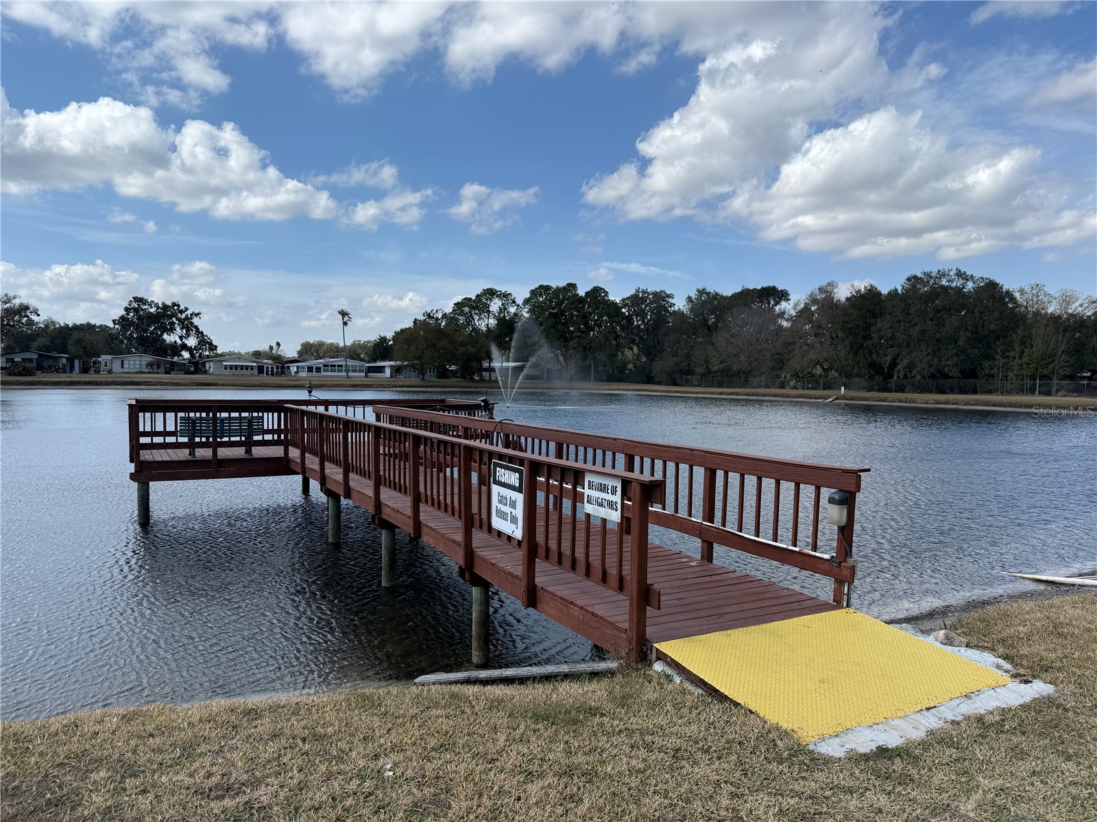 3141 Great Oak St Wesley Chapel FL 33543 TB8448670 image41