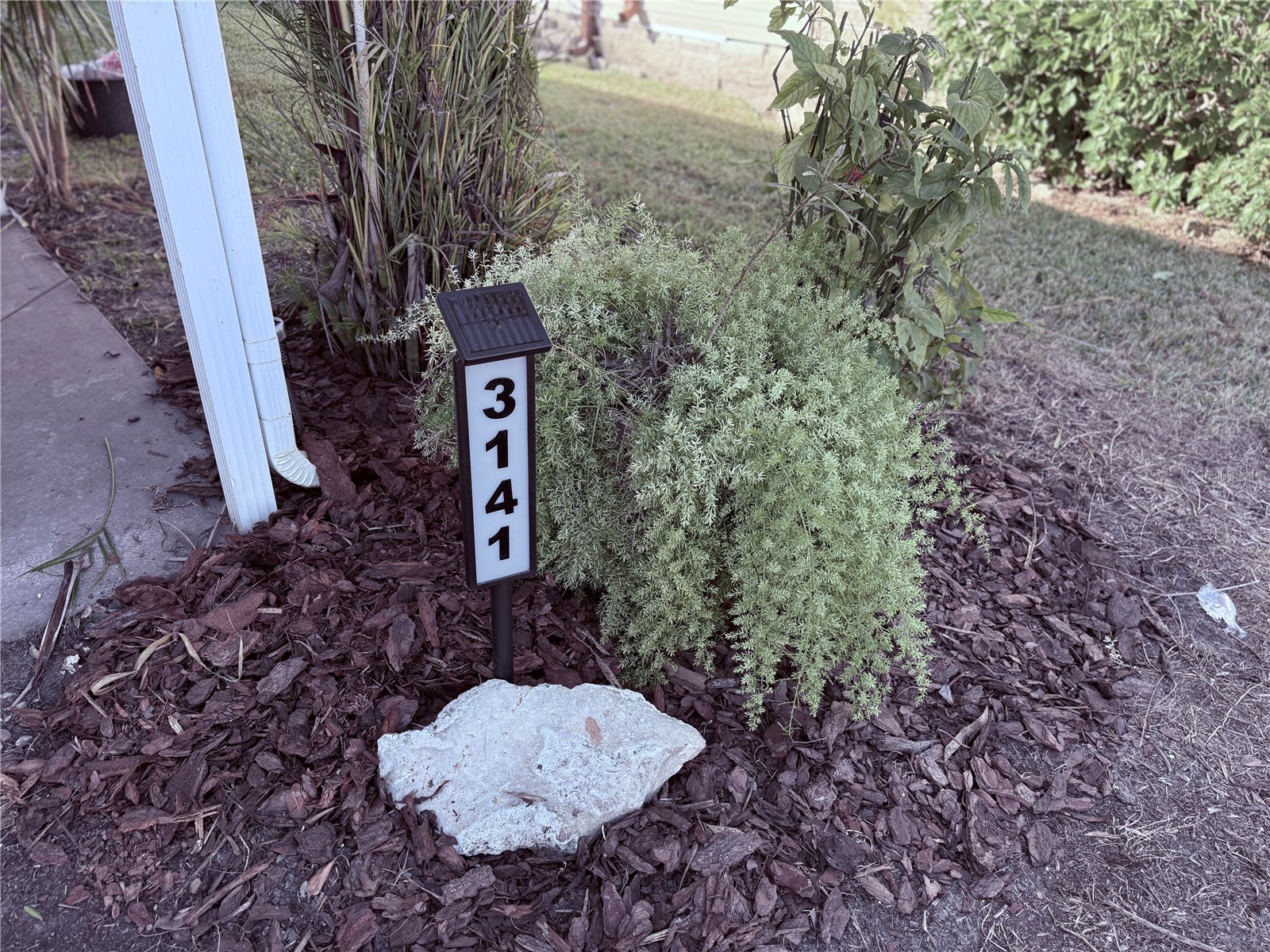 3141 Great Oak St Wesley Chapel FL 33543 TB8448670 image6