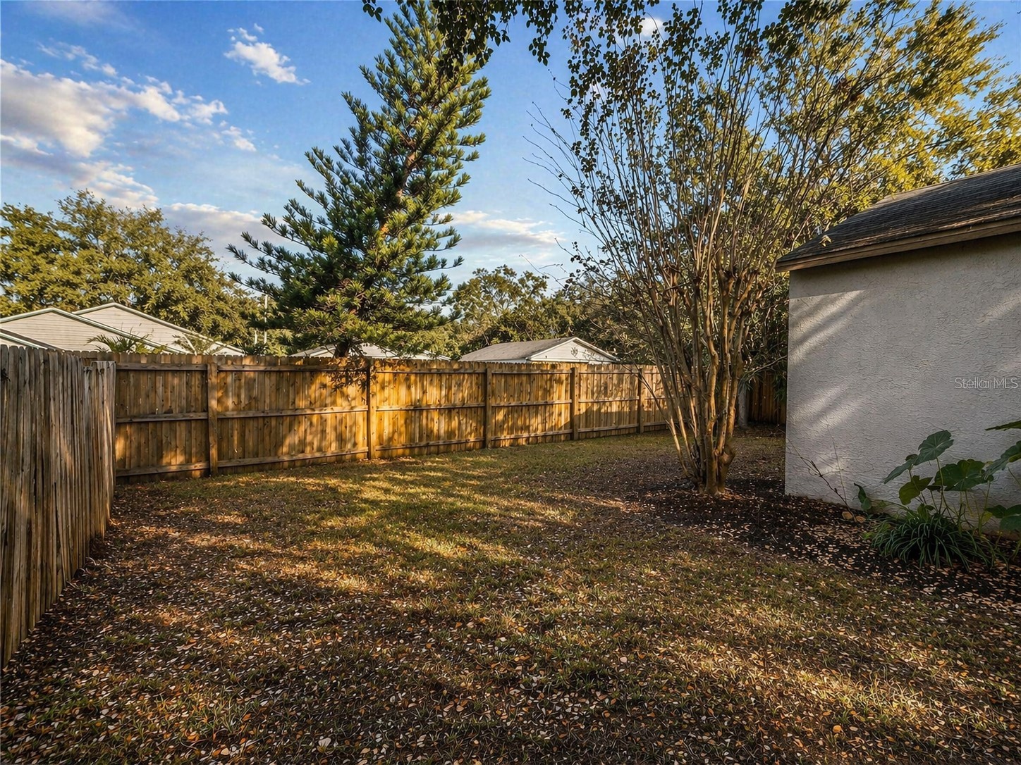 3141 Huron Avenue #B Oldsmar FL 34677 TB8499710 image7