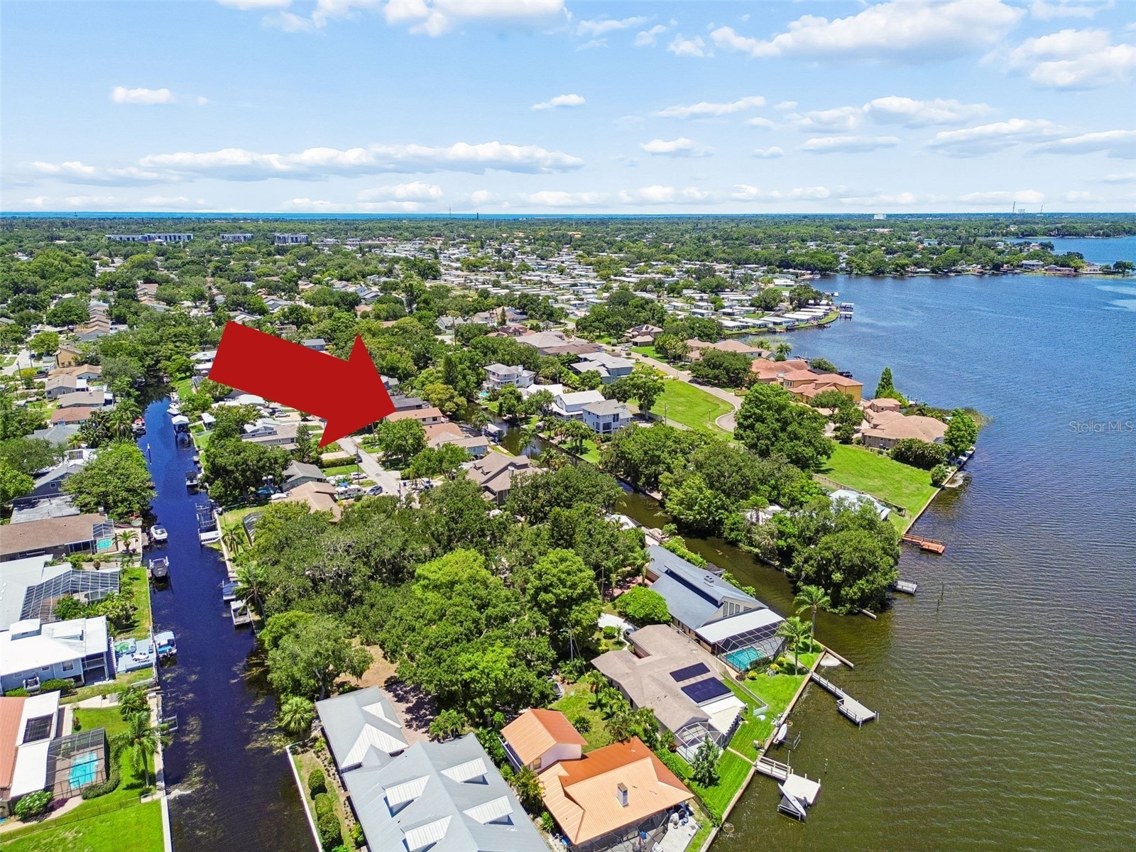 3141 N Canal Drive Palm Harbor FL 34684 TB8518778 image3