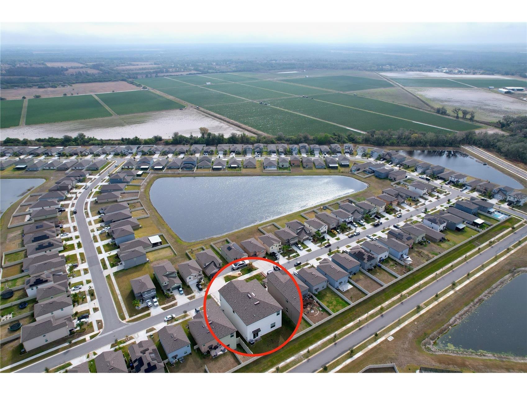 3141 Oyster Cove Street Wimauma FL 33598 TB8478301 image32