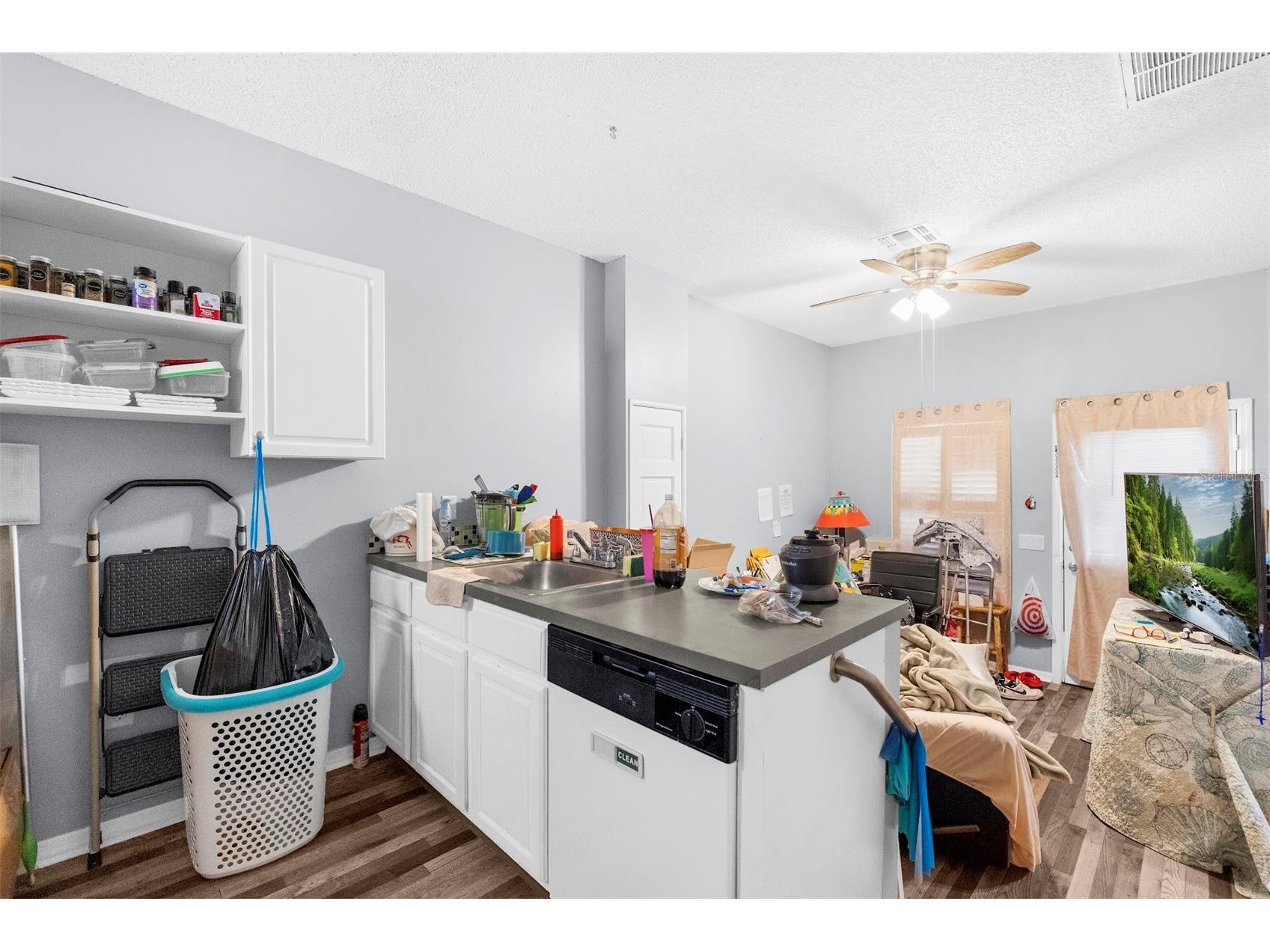 3141 Town Avenue New Port Richey FL 34655 P4938119 image29