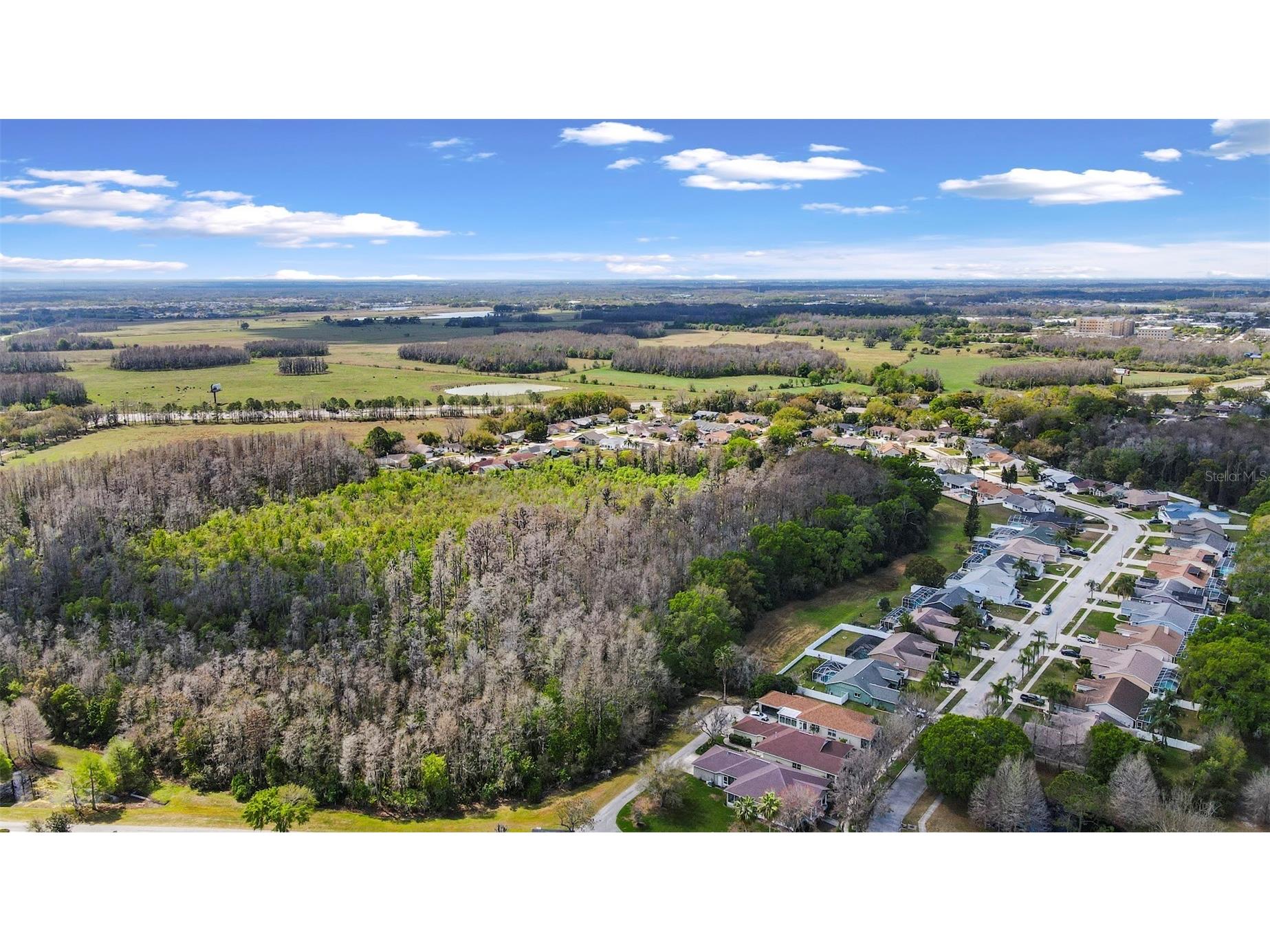 3141 Town Avenue New Port Richey FL 34655 P4938119 image36