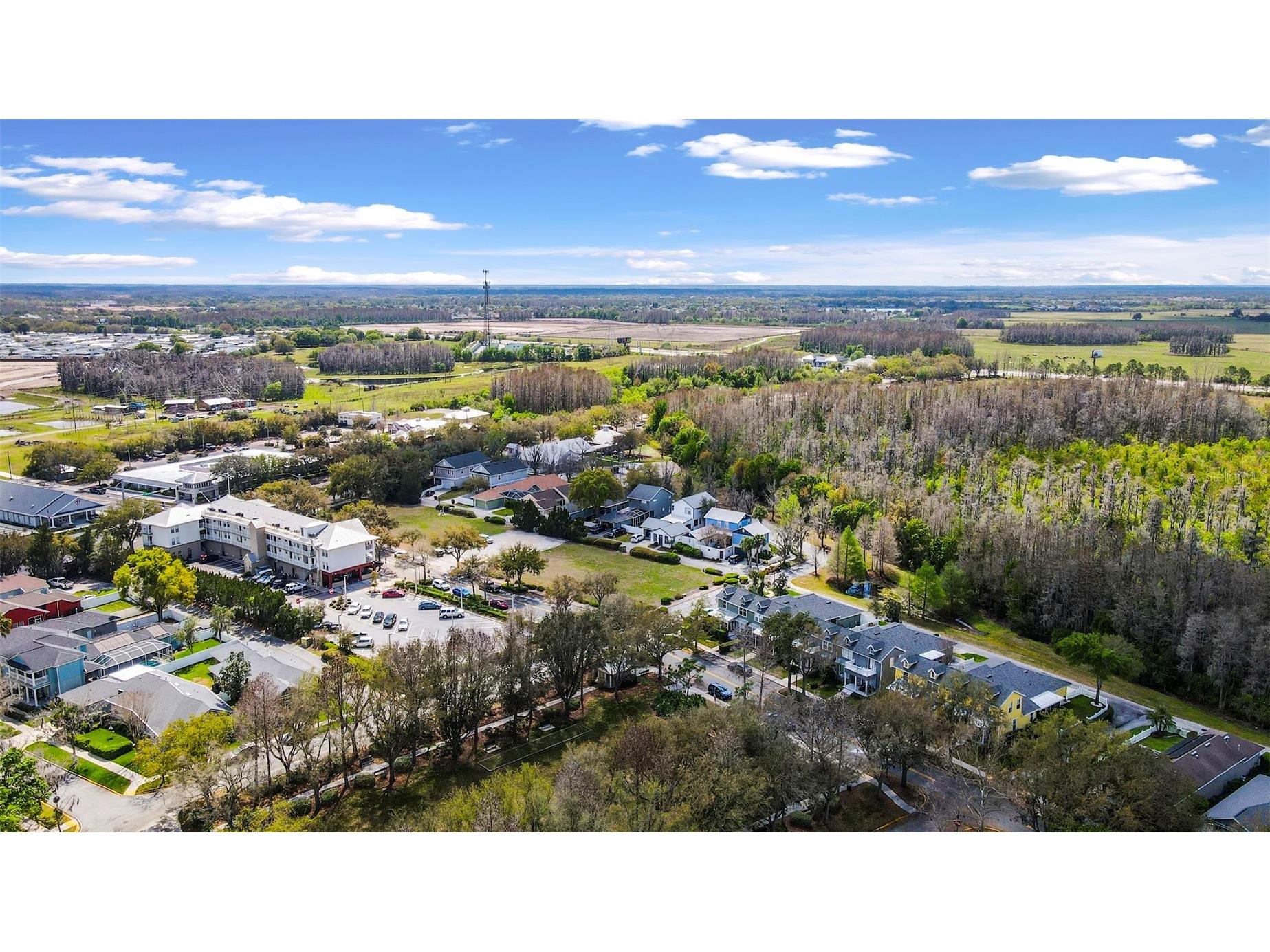 3141 Town Avenue New Port Richey FL 34655 P4938119 image38