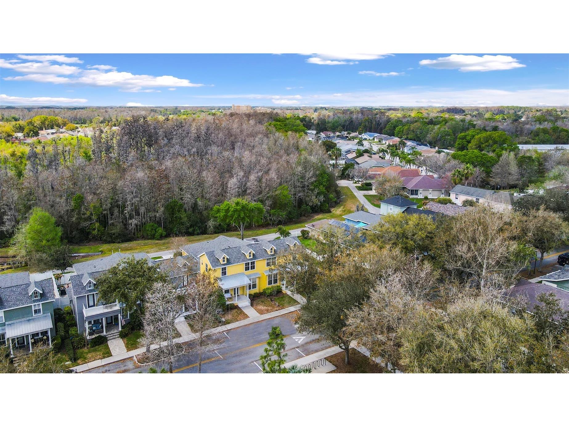 3141 Town Avenue New Port Richey FL 34655 P4938119 image39