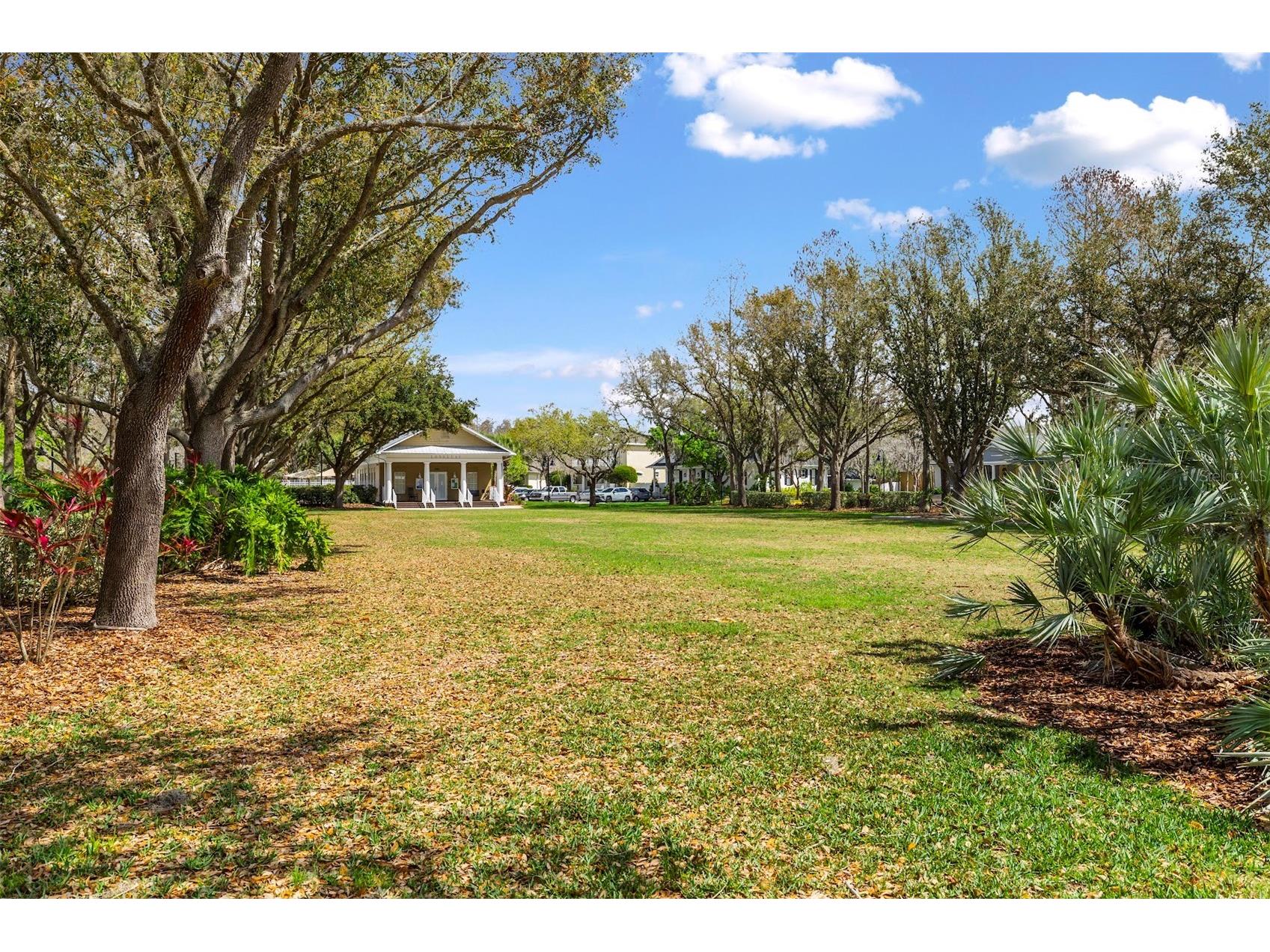 3141 Town Avenue New Port Richey FL 34655 P4938119 image40