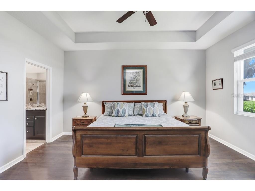 31411 Mango Fade Way San Antonio FL 33576 TB8488250 image15
