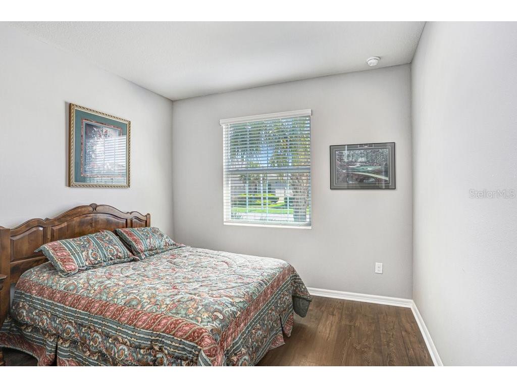 31411 Mango Fade Way San Antonio FL 33576 TB8488250 image20