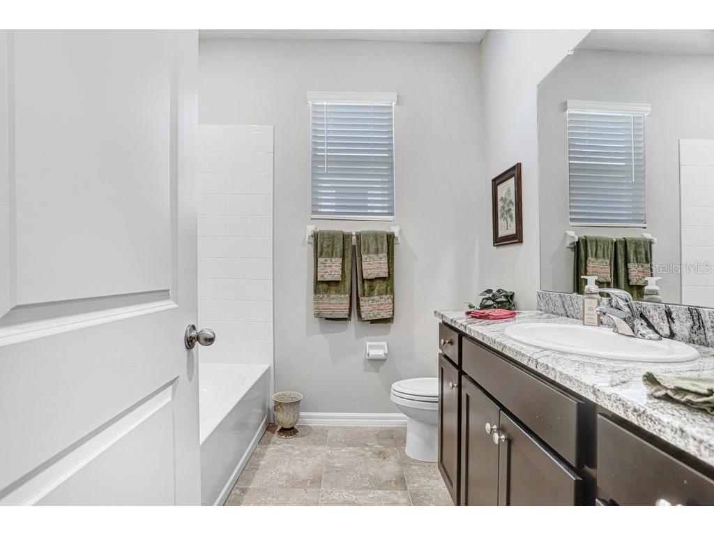 31411 Mango Fade Way San Antonio FL 33576 TB8488250 image22