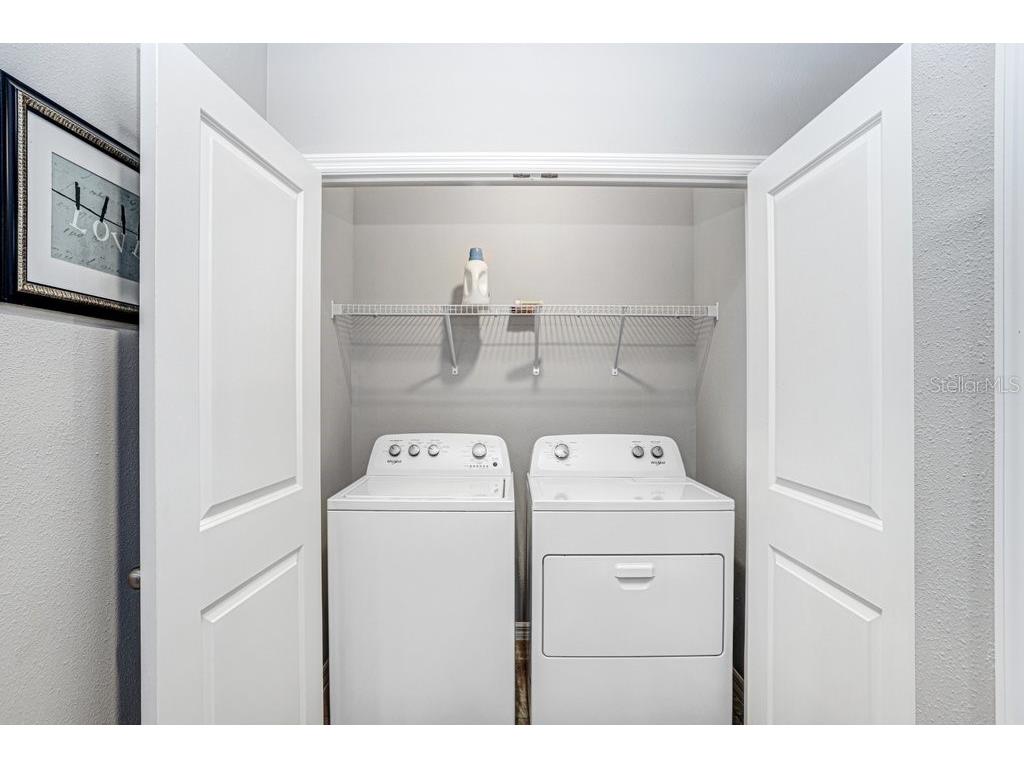 31411 Mango Fade Way San Antonio FL 33576 TB8488250 image23