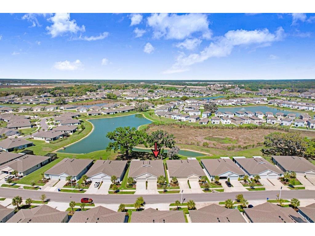 31411 Mango Fade Way San Antonio FL 33576 TB8488250 image27