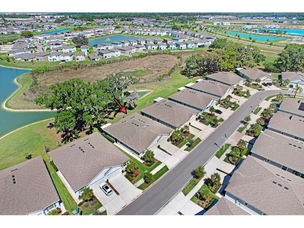31411 Mango Fade Way San Antonio FL 33576 TB8488250 image28