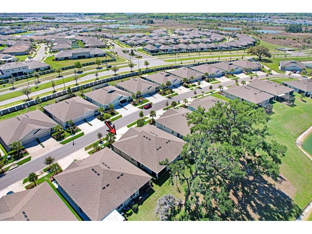 31411 Mango Fade Way San Antonio FL 33576 TB8488250 image29