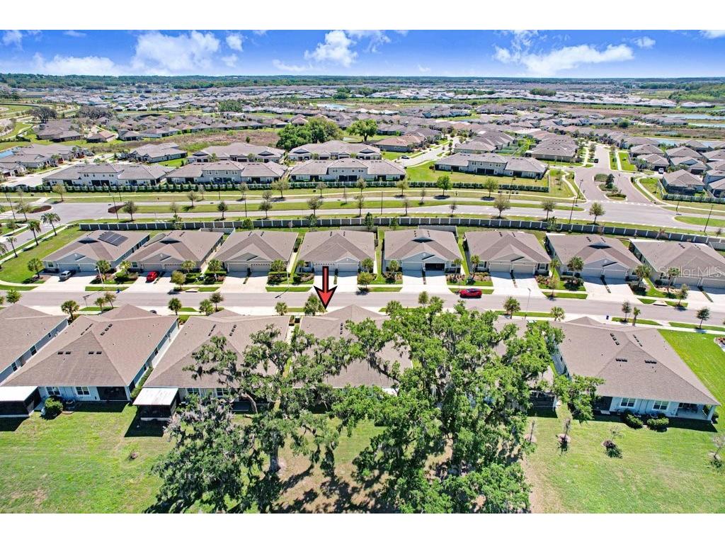 31411 Mango Fade Way San Antonio FL 33576 TB8488250 image30