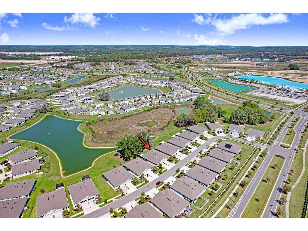31411 Mango Fade Way San Antonio FL 33576 TB8488250 image36