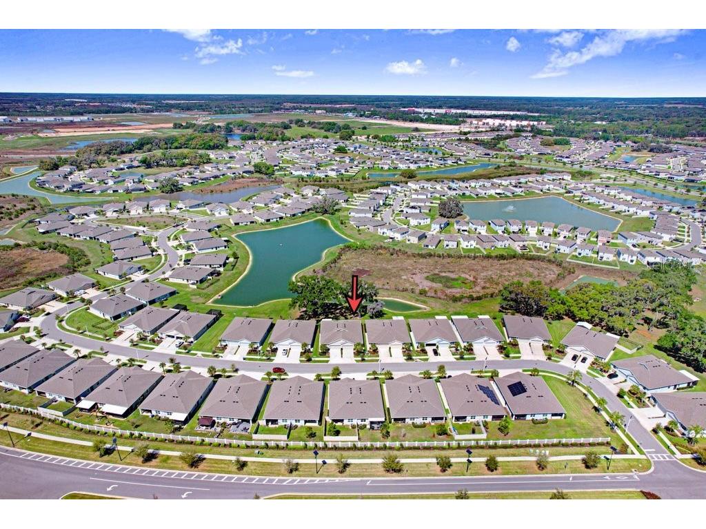 31411 Mango Fade Way San Antonio FL 33576 TB8488250 image37