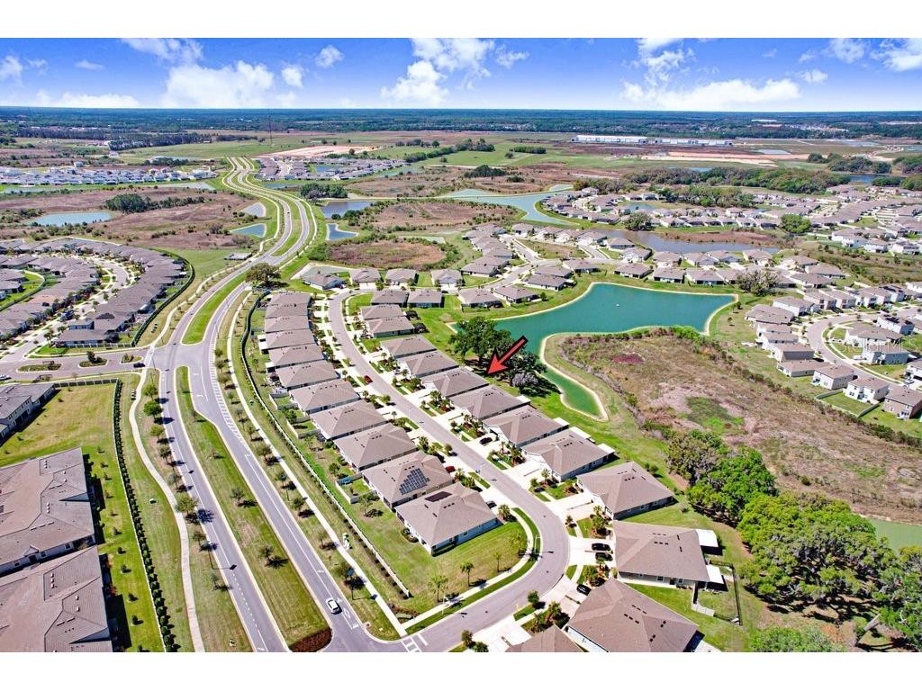 31411 Mango Fade Way San Antonio FL 33576 TB8488250 image38