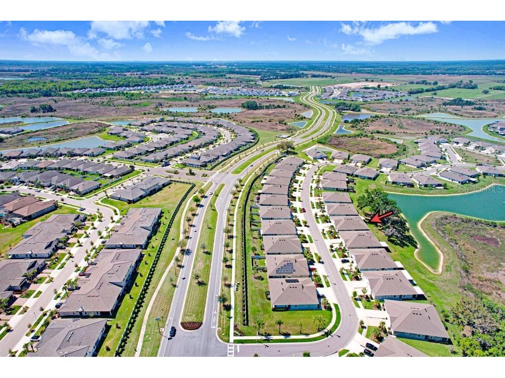 31411 Mango Fade Way San Antonio FL 33576 TB8488250 image39