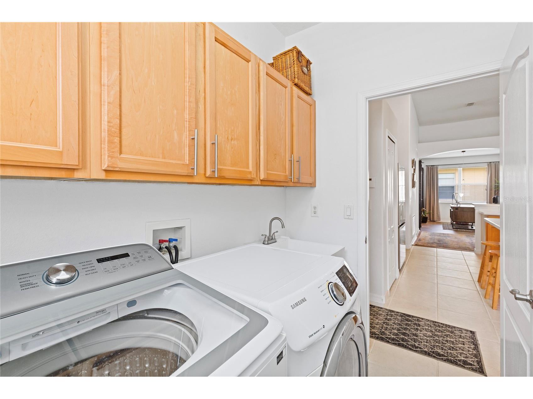 31415 Bridgegate Drive Wesley Chapel FL 33545 TB8518920 image21