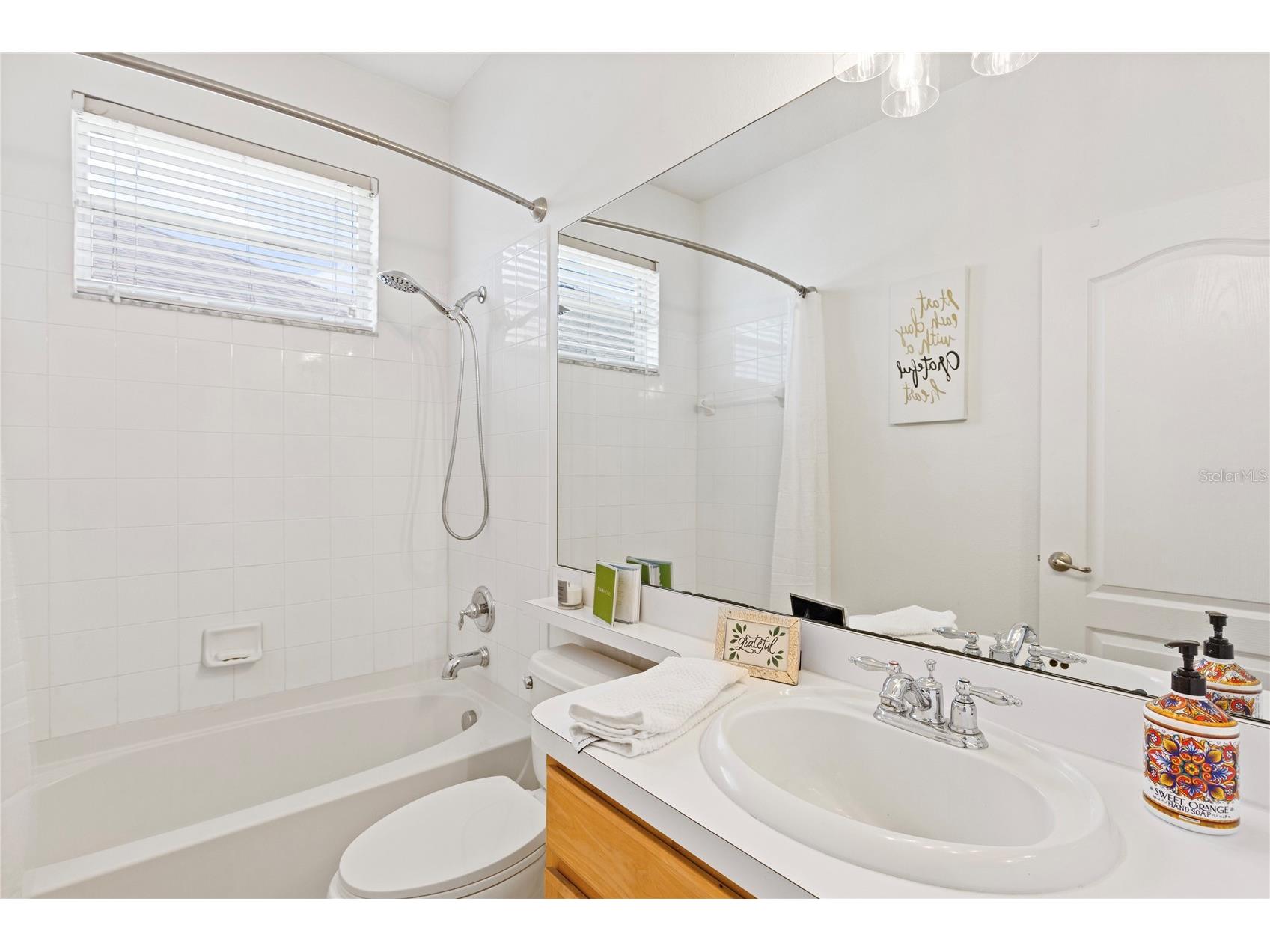 31415 Bridgegate Drive Wesley Chapel FL 33545 TB8518920 image36