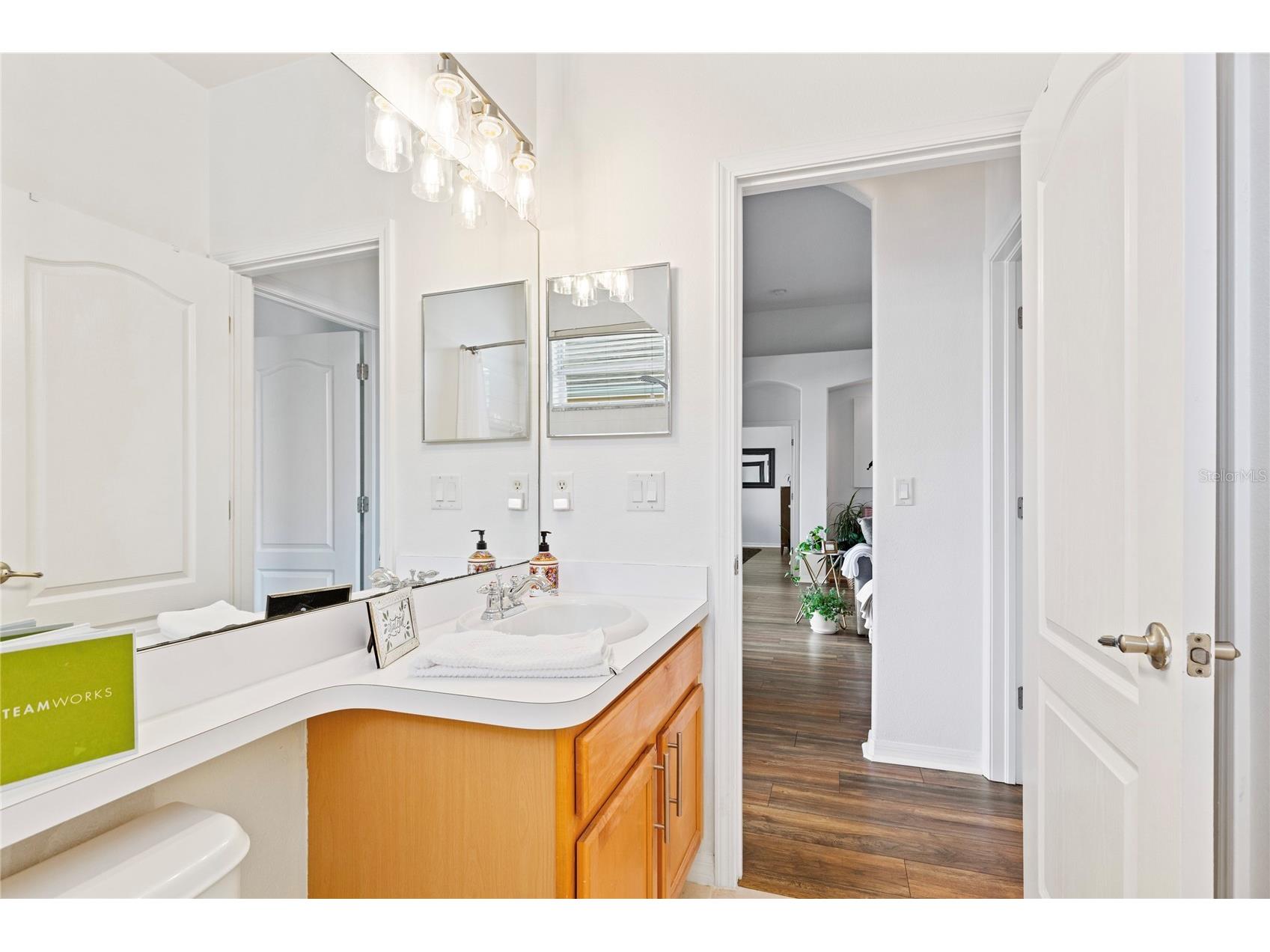 31415 Bridgegate Drive Wesley Chapel FL 33545 TB8518920 image37