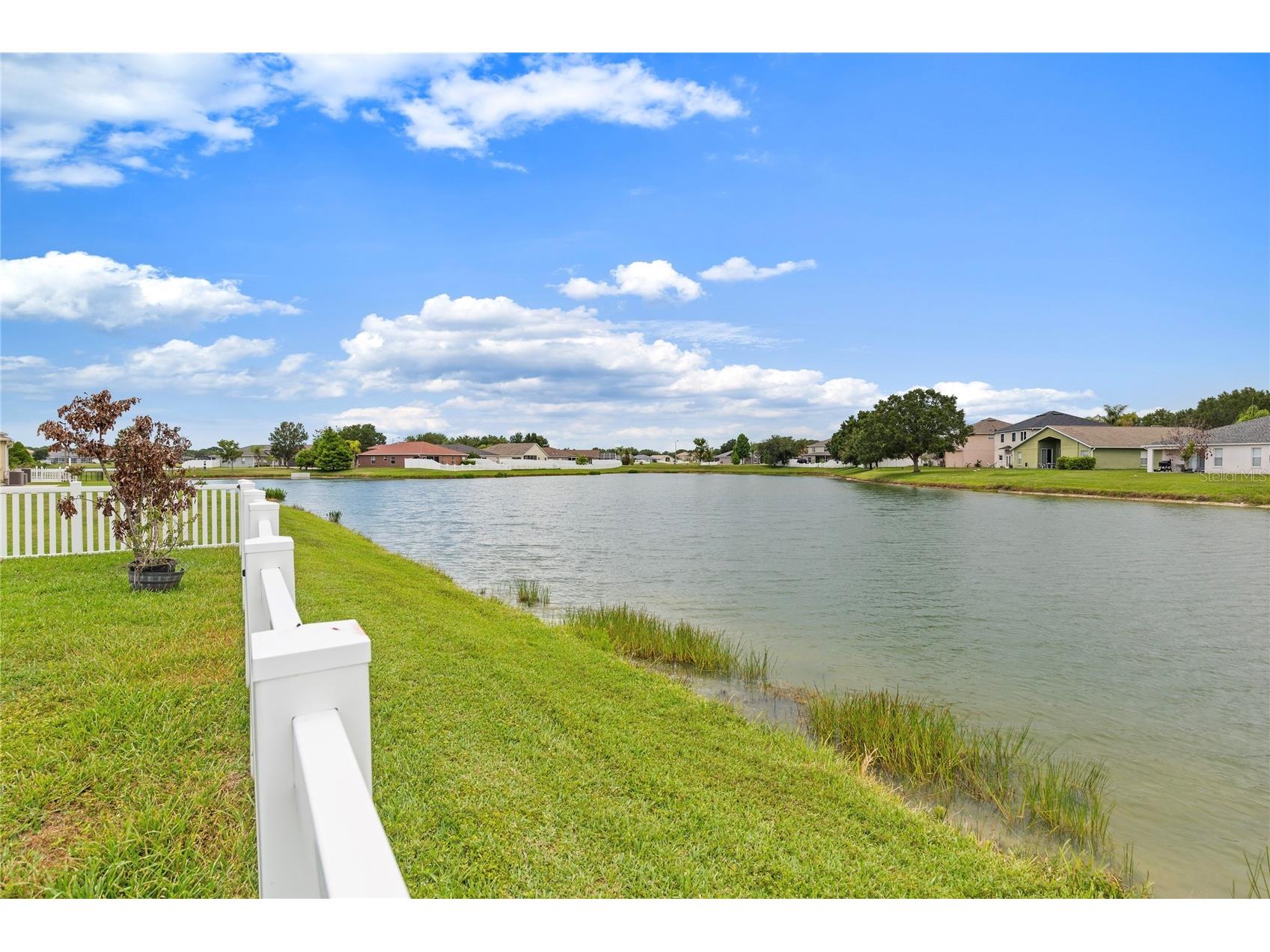 31415 Bridgegate Drive Wesley Chapel FL 33545 TB8518920 image47