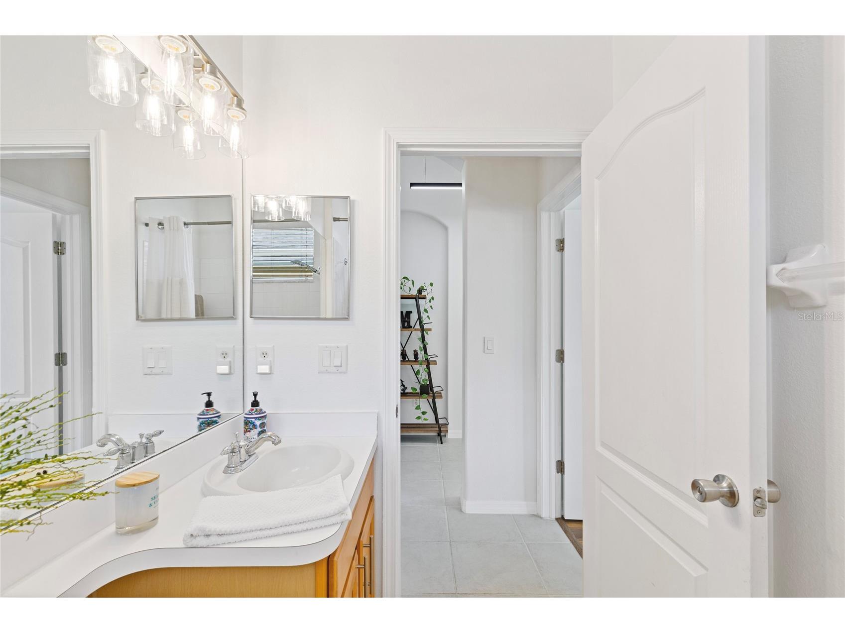 31415 Bridgegate Drive Wesley Chapel FL 33545 TB8518920 image8