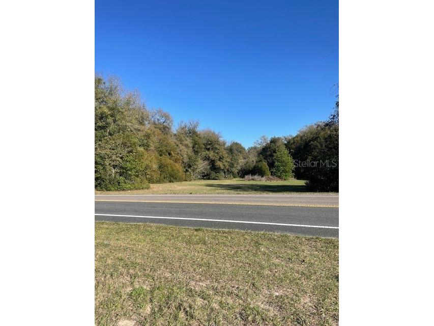 31415 Orange Street Sorrento FL 32776 G5094092 image2