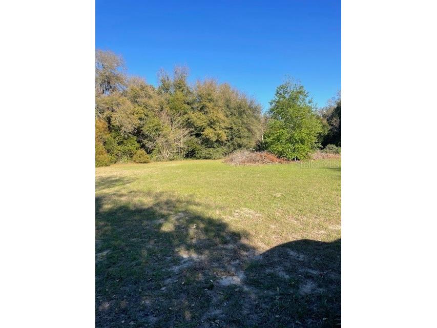 31415 Orange Street Sorrento FL 32776 G5094092 image3