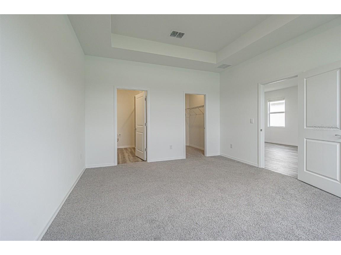 31415 Paper Birch Street Wesley Chapel FL 33545 TB8456200 image15