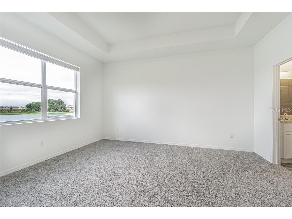 31415 Paper Birch Street Wesley Chapel FL 33545 TB8456200 image16