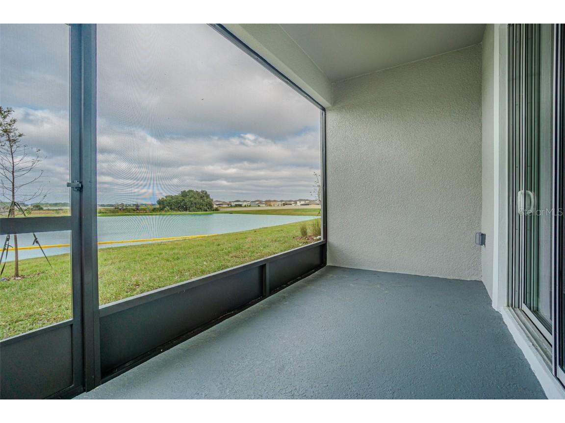 31415 Paper Birch Street Wesley Chapel FL 33545 TB8456200 image21