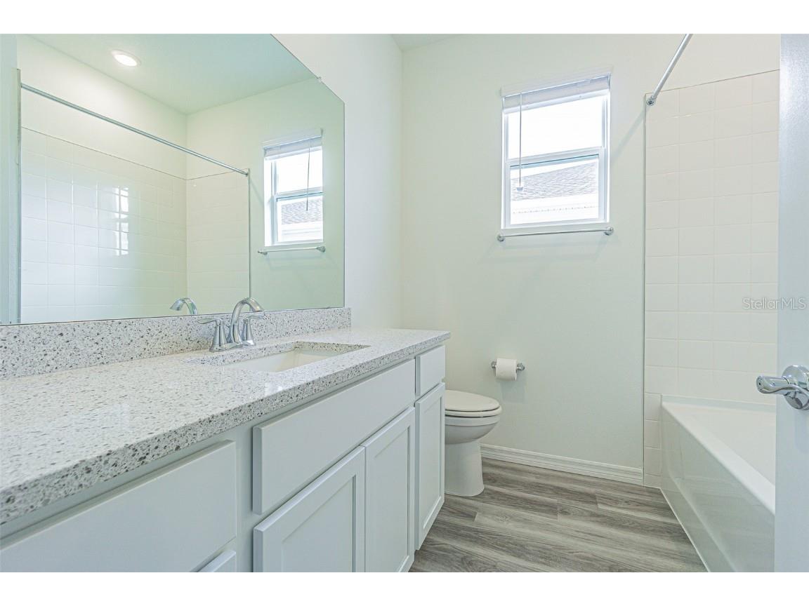 31415 Paper Birch Street Wesley Chapel FL 33545 TB8456200 image26