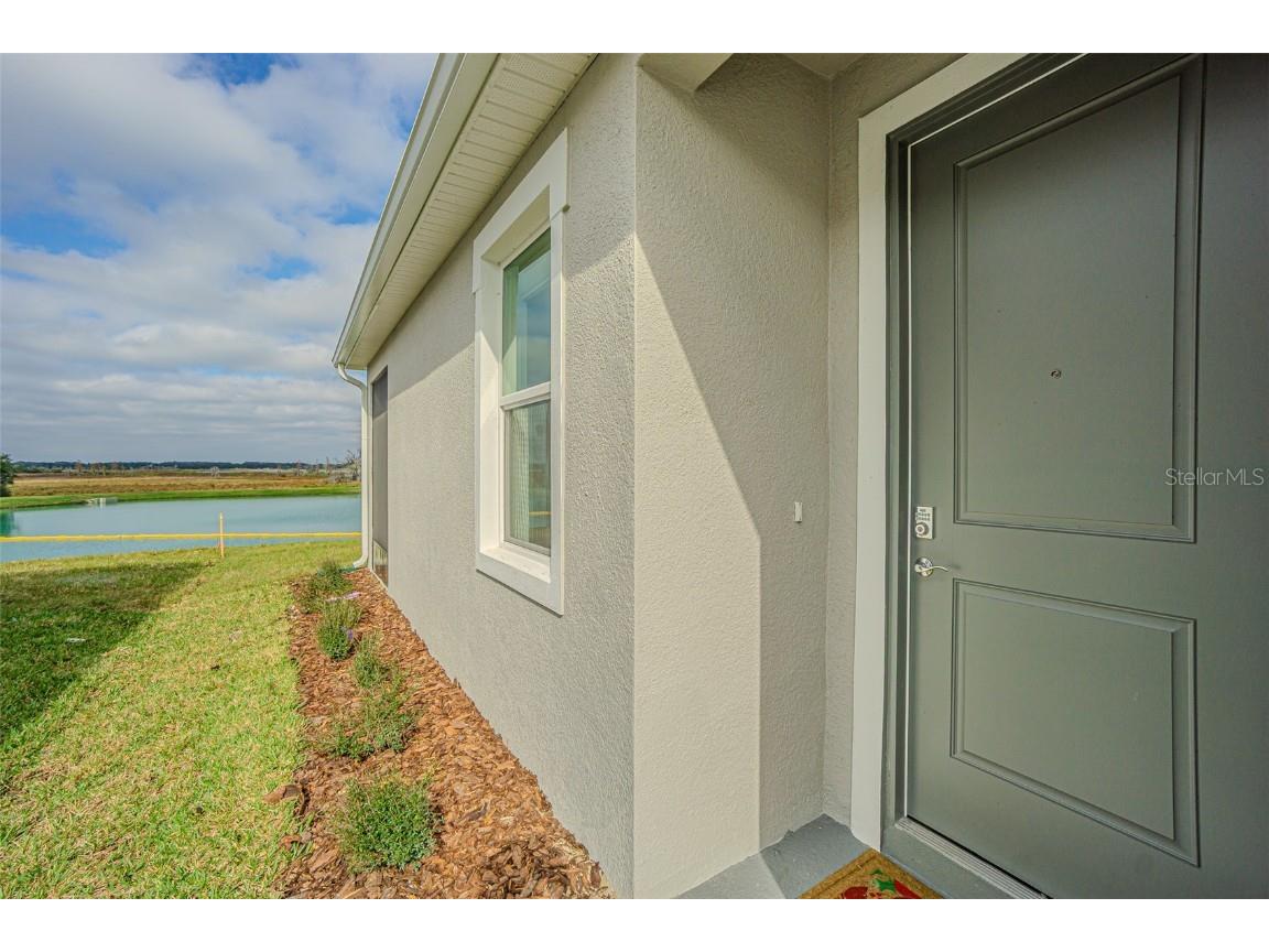 31415 Paper Birch Street Wesley Chapel FL 33545 TB8456200 image28