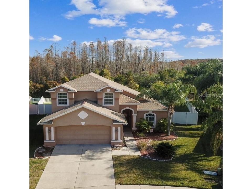 31416 Philmar Lane Wesley Chapel FL 33543 W7860747 image1