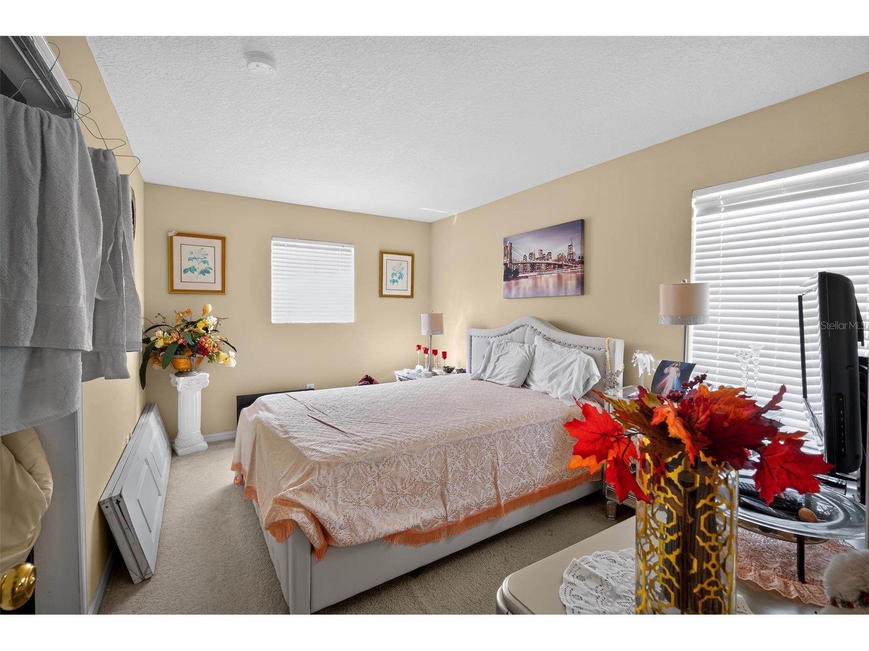 31417 Triborough Drive Wesley Chapel FL 33545 TB8521008 image16