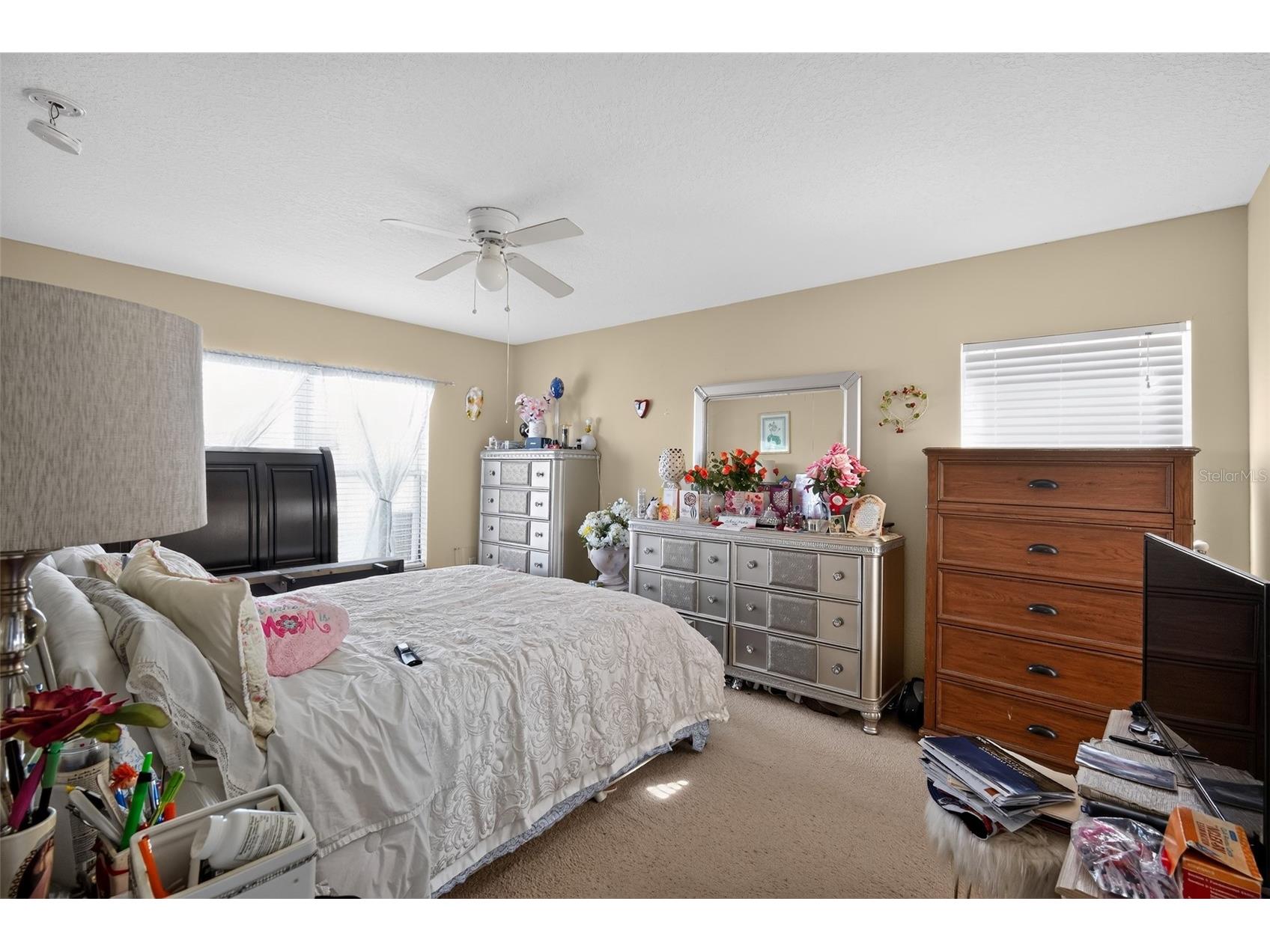31417 Triborough Drive Wesley Chapel FL 33545 TB8521008 image20