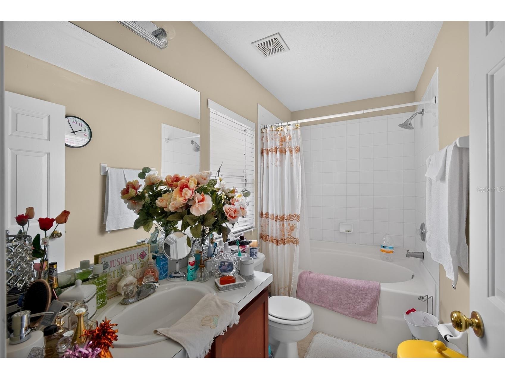 31417 Triborough Drive Wesley Chapel FL 33545 TB8521008 image26