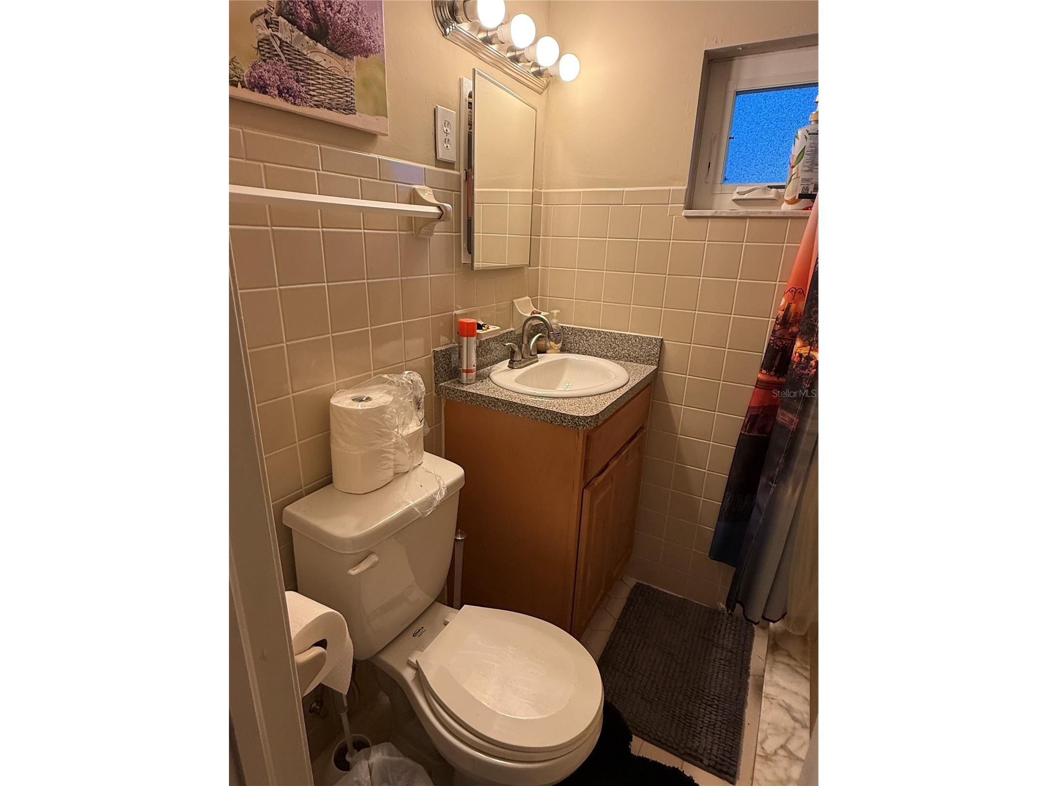 3142 Henderson Circle W Lakeland FL 33803 L4962951 image22