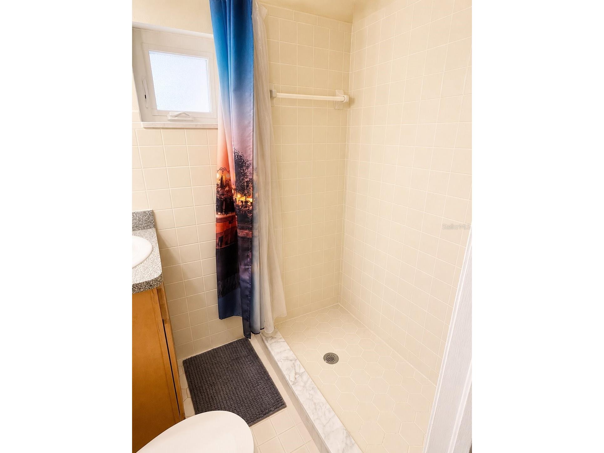 3142 Henderson Circle W Lakeland FL 33803 L4962951 image23