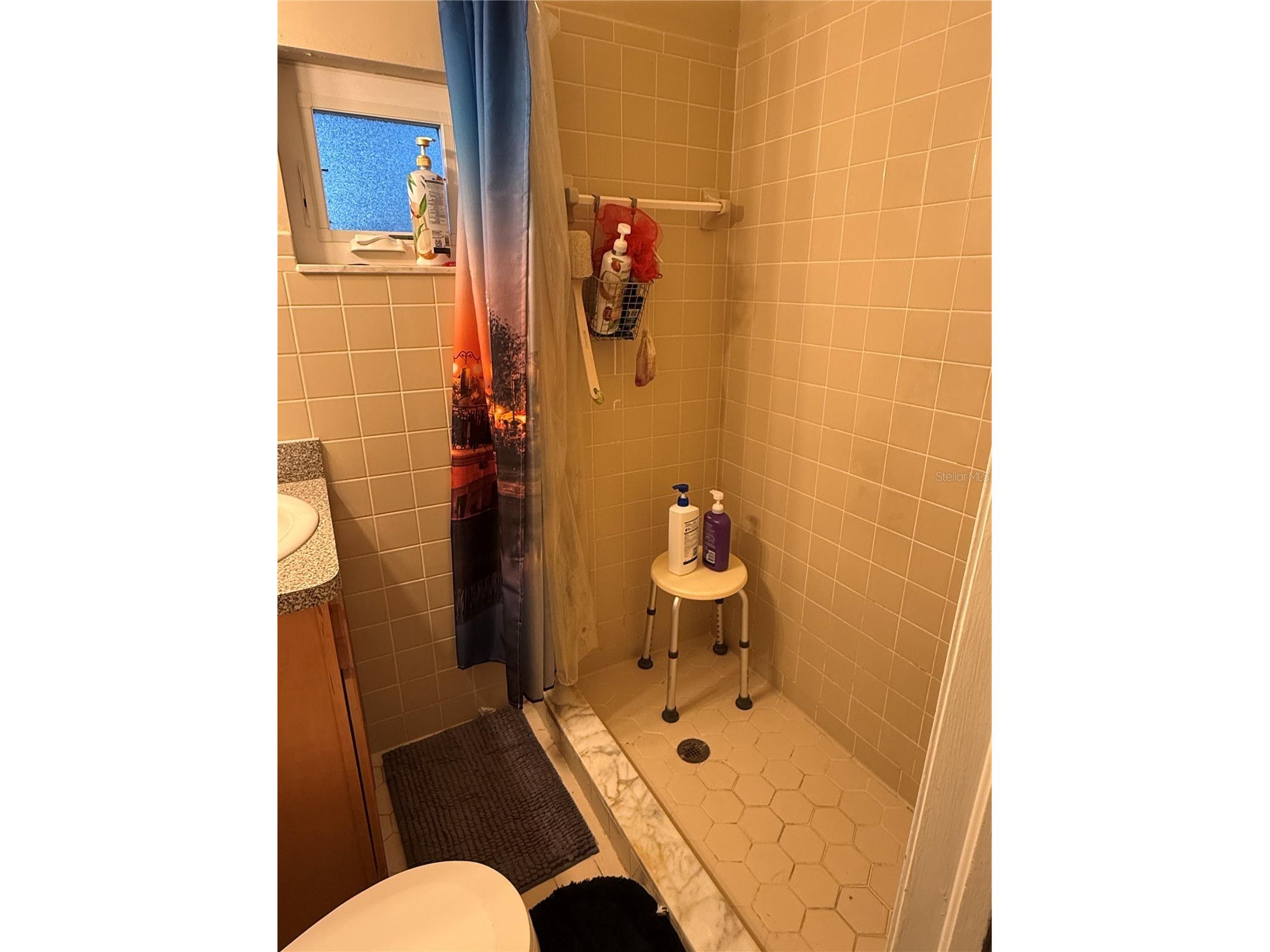 3142 Henderson Circle W Lakeland FL 33803 L4962951 image24