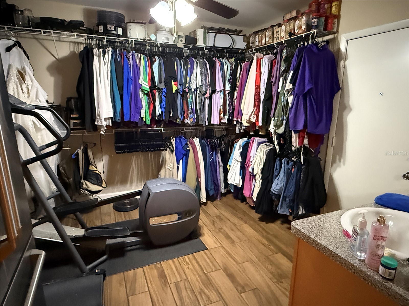3142 Henderson Circle W Lakeland FL 33803 L4962951 image28