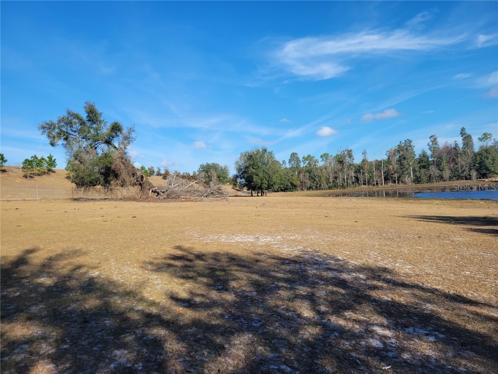 3142 Plymouth Sorrento Road Apopka FL 32712 - LAKE VICTOR O6000570 image4