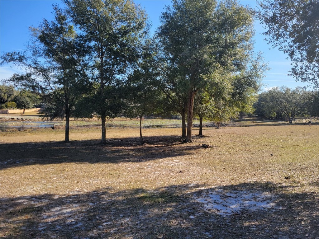 3142 Plymouth Sorrento Road Apopka FL 32712 - LAKE VICTOR O6000570 image7