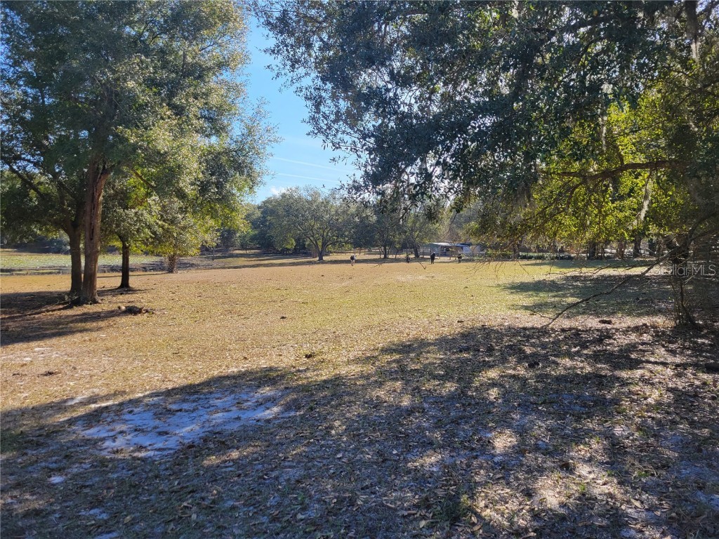 3142 Plymouth Sorrento Road Apopka FL 32712 - LAKE VICTOR O6000570 image9