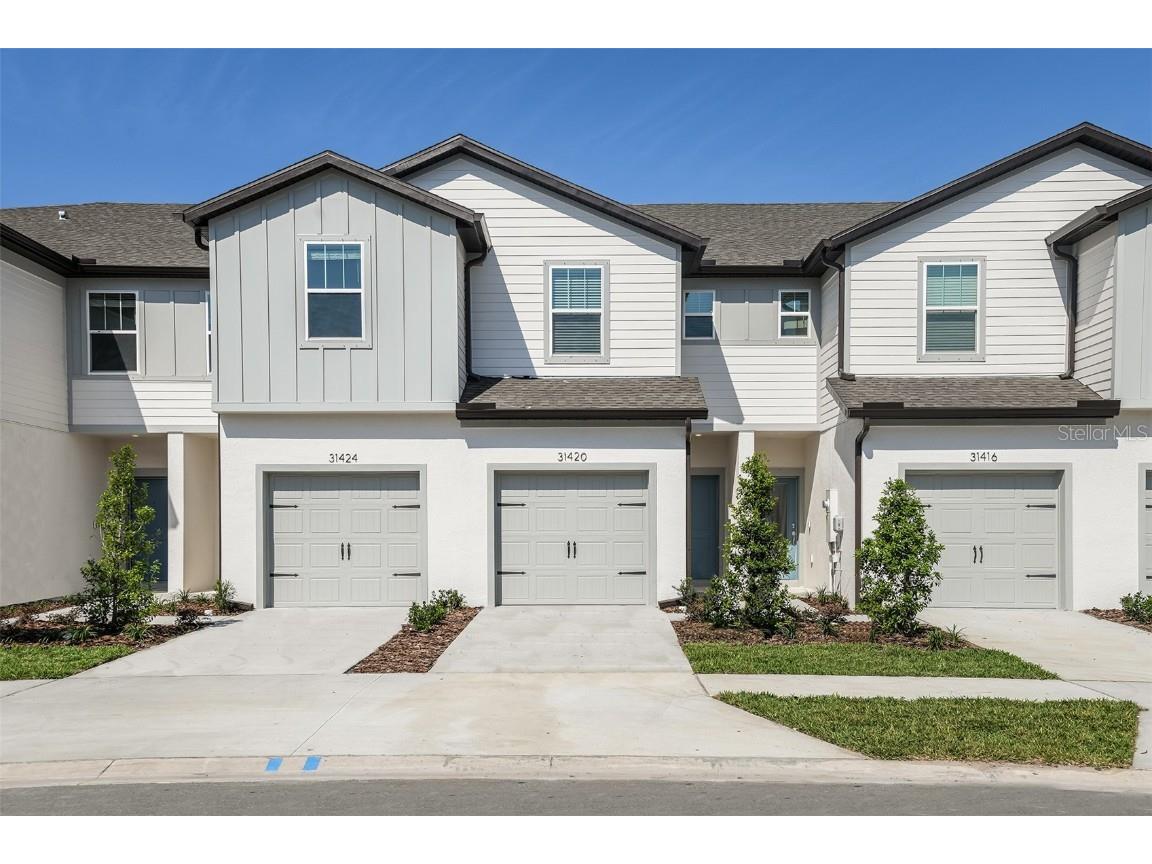 31420 Amberview Bend Wesley Chapel FL 33545 T3442846 image1