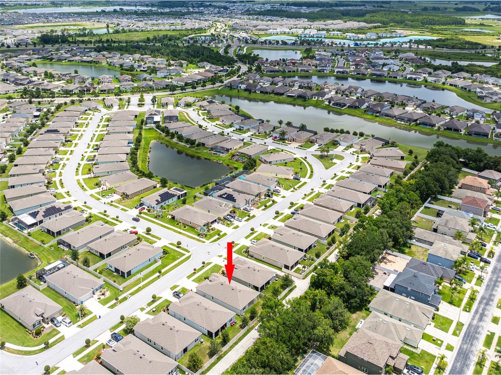 31420 Tansy Bend Wesley Chapel FL 33545 TB8522548 image10