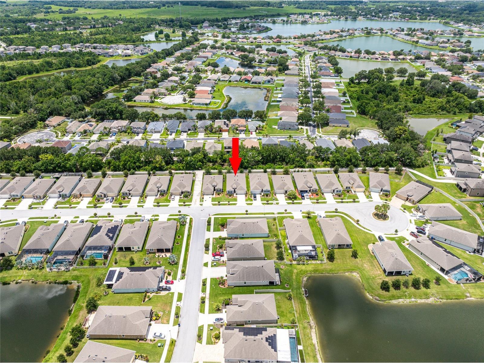 31420 Tansy Bend Wesley Chapel FL 33545 TB8522548 image11