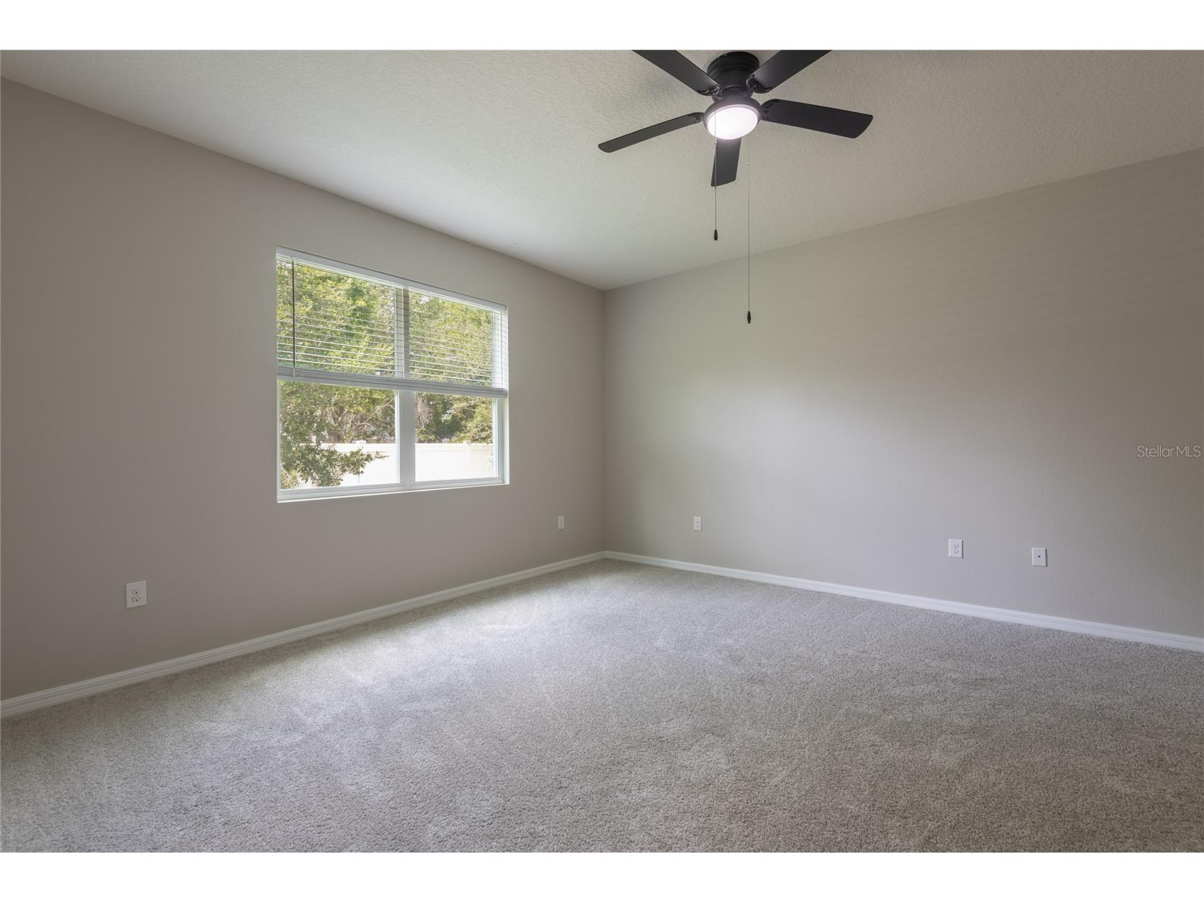 31420 Tansy Bend Wesley Chapel FL 33545 TB8522548 image17